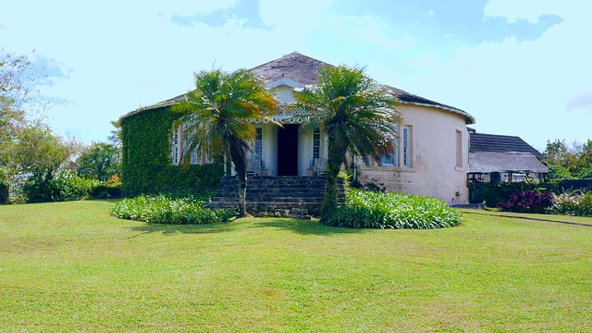 Twenty-Ninth image of Chippenham Park, Bamboo in Bamboo, St. Ann, Jamaica - property is For Sale