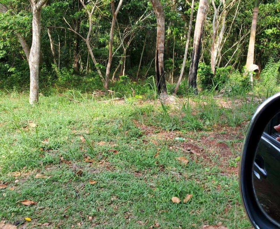 Twelfth image of 49 Gibraltar Estate in Boscobel, St. Mary, Jamaica - property is For Sale