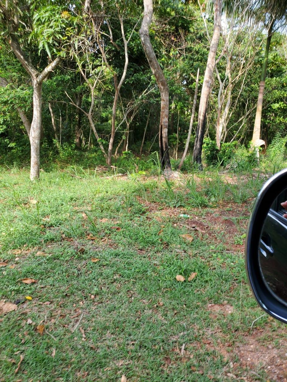 Twelfth image of 49 Gibraltar Estate in Boscobel, St. Mary, Jamaica - property is For Sale