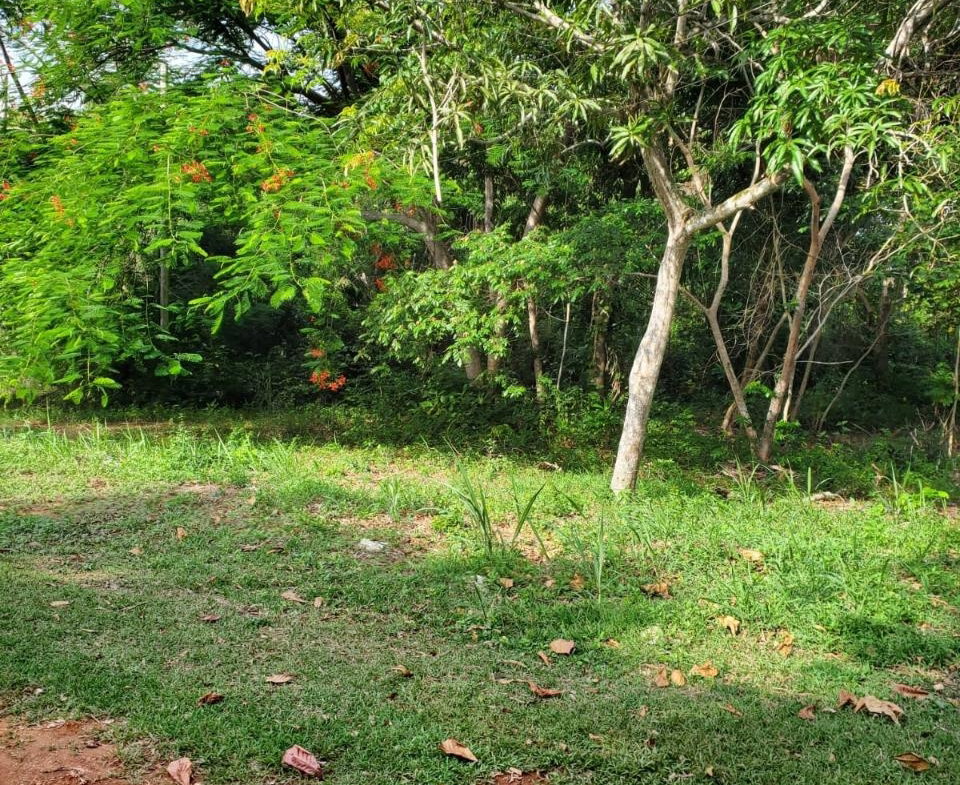 Thirteenth image of 49 Gibraltar Estate in Boscobel, St. Mary, Jamaica - property is For Sale