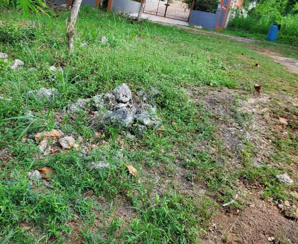 Fourteenth image of 49 Gibraltar Estate in Boscobel, St. Mary, Jamaica - property is For Sale