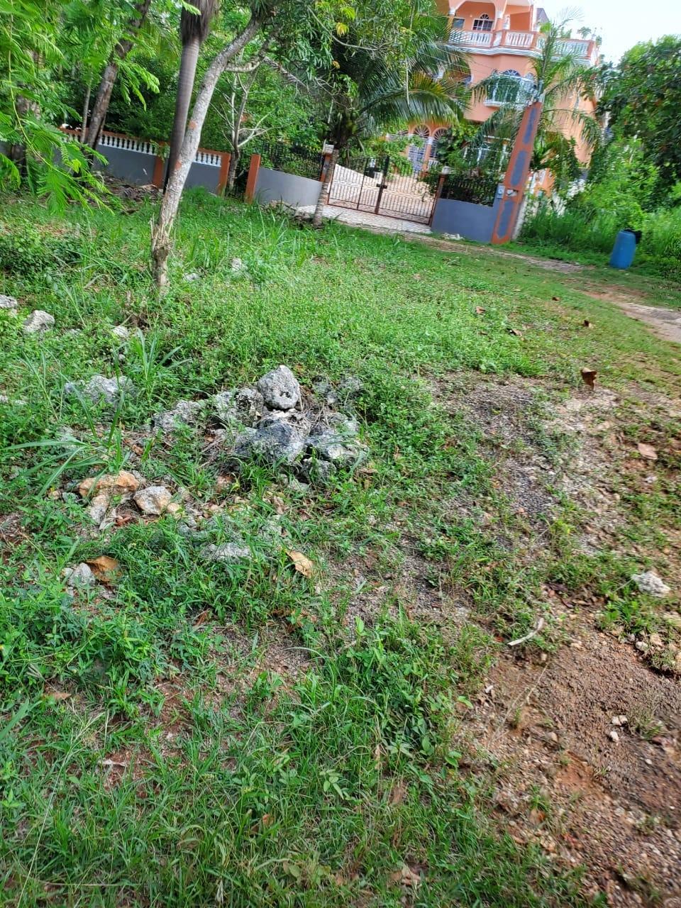 Fourteenth image of 49 Gibraltar Estate in Boscobel, St. Mary, Jamaica - property is For Sale