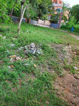 Fourteenth image of 49 Gibraltar Estate in Boscobel, St. Mary, Jamaica - property is For Sale