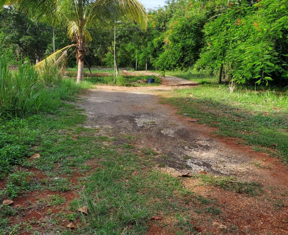 Fifteenth image of 49 Gibraltar Estate in Boscobel, St. Mary, Jamaica - property is For Sale