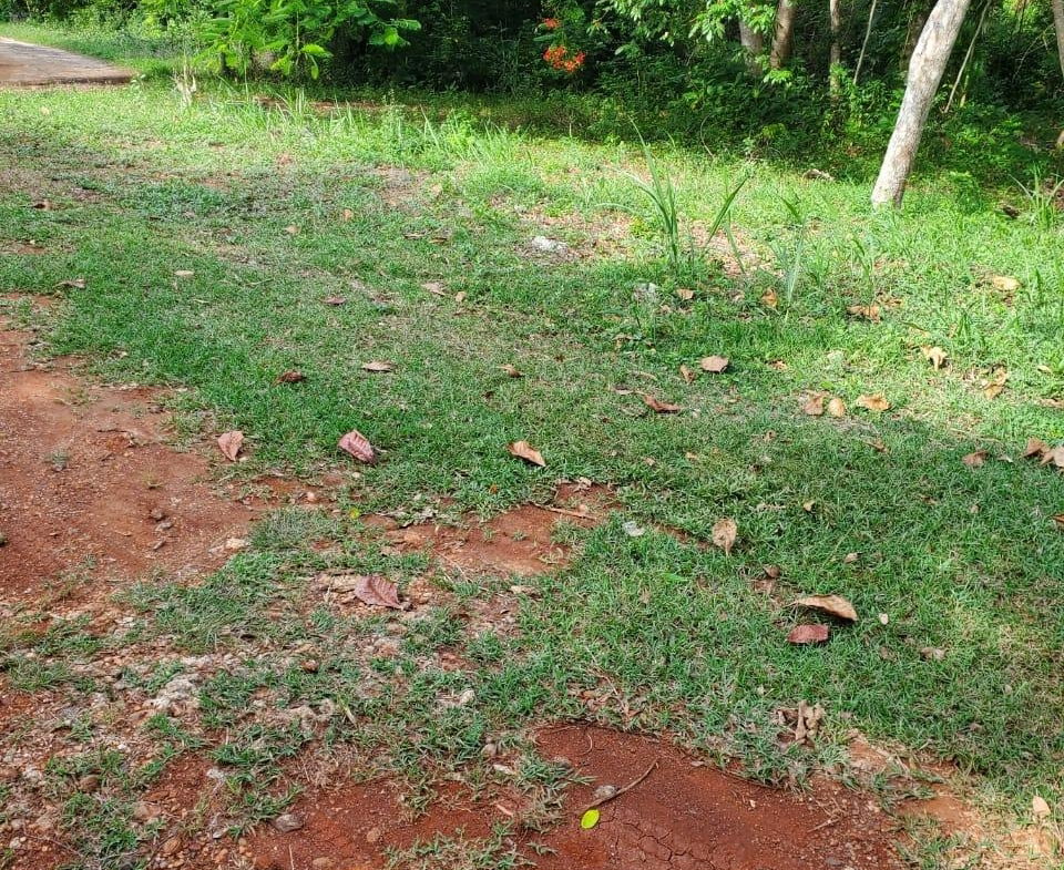 Seventeenth image of 49 Gibraltar Estate in Boscobel, St. Mary, Jamaica - property is For Sale
