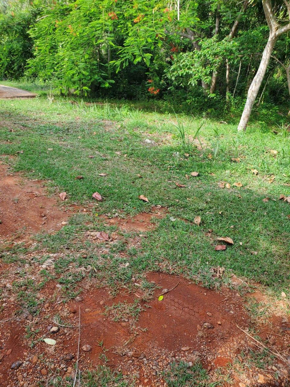 Seventeenth image of 49 Gibraltar Estate in Boscobel, St. Mary, Jamaica - property is For Sale