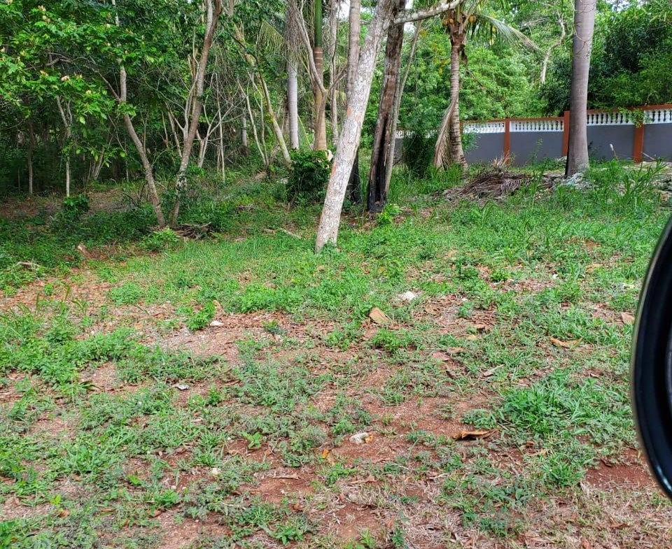 Fourth image of 49 Gibraltar Estate in Boscobel, St. Mary, Jamaica - property is For Sale