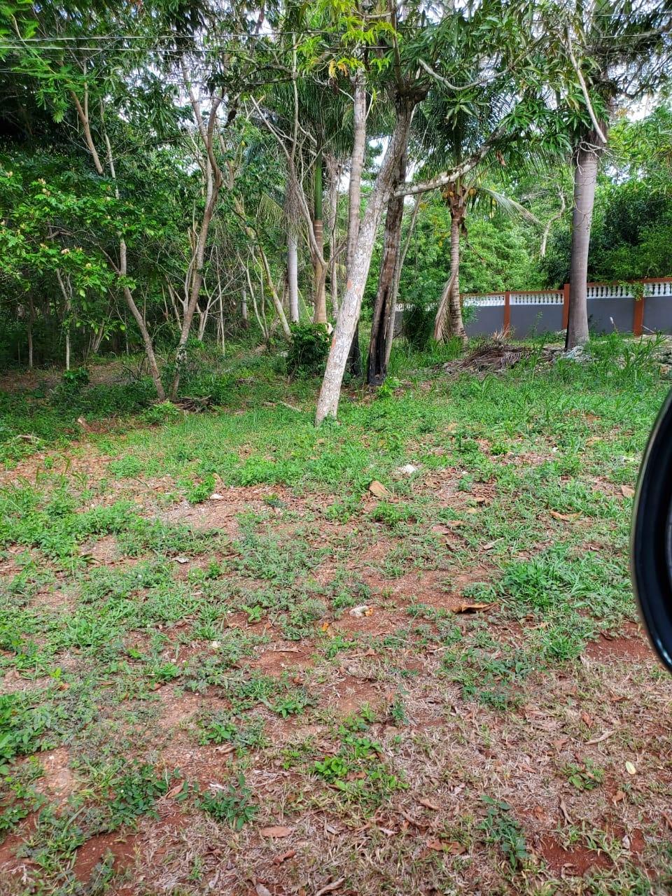 Fourth image of 49 Gibraltar Estate in Boscobel, St. Mary, Jamaica - property is For Sale