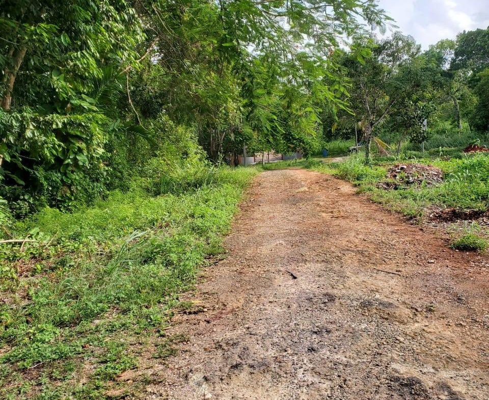 Fifth image of 49 Gibraltar Estate in Boscobel, St. Mary, Jamaica - property is For Sale