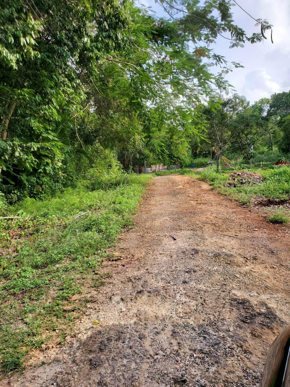 Fifth image of 49 Gibraltar Estate in Boscobel, St. Mary, Jamaica - property is For Sale