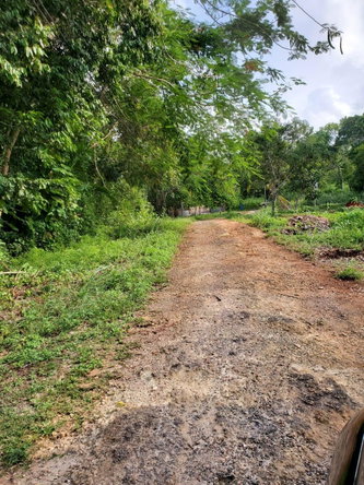 Fifth image of 49 Gibraltar Estate in Boscobel, St. Mary, Jamaica - property is For Sale