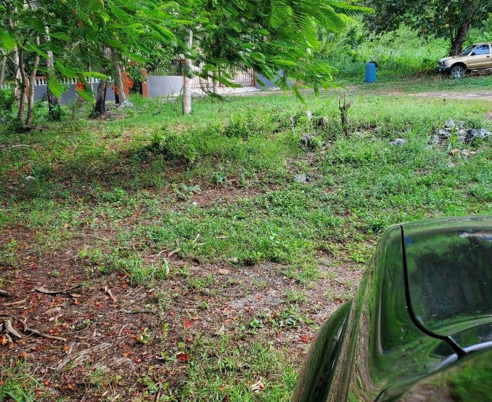 Tenth image of 49 Gibraltar Estate in Boscobel, St. Mary, Jamaica - property is For Sale