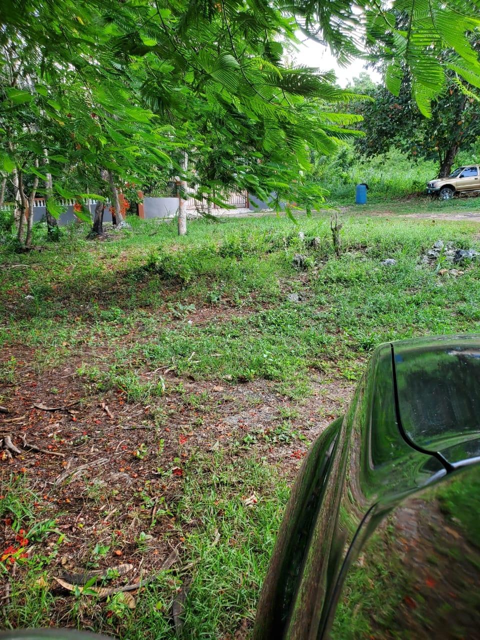 Tenth image of 49 Gibraltar Estate in Boscobel, St. Mary, Jamaica - property is For Sale