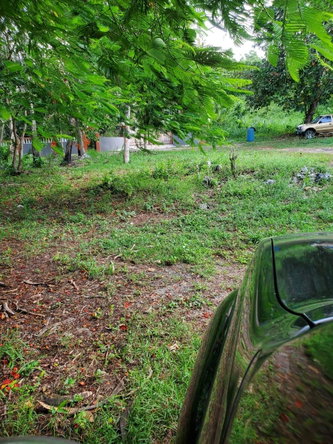 Tenth image of 49 Gibraltar Estate in Boscobel, St. Mary, Jamaica - property is For Sale
