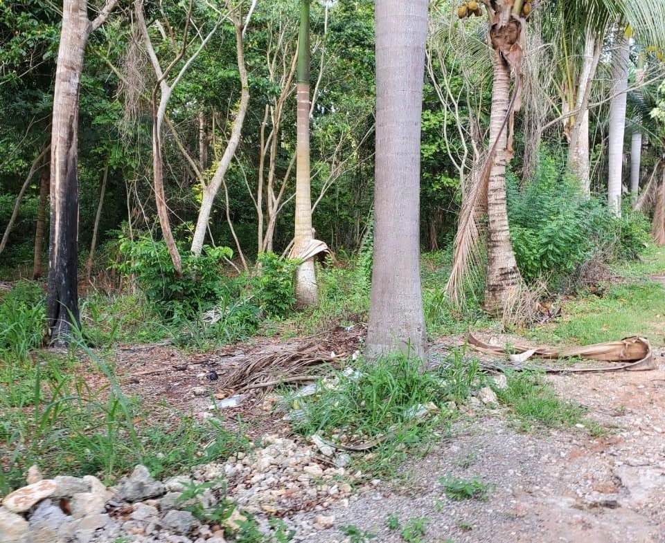 First image of 49 Gibraltar Estate in Boscobel, St. Mary, Jamaica - property is For Sale