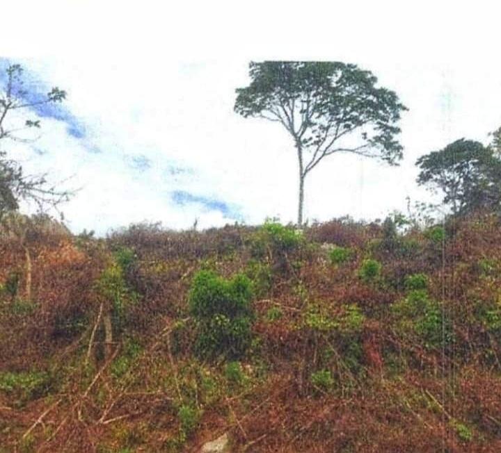 Second image of 183 Chamaeleon Close in Kingston 8, St. Andrew, Jamaica - property is For Sale