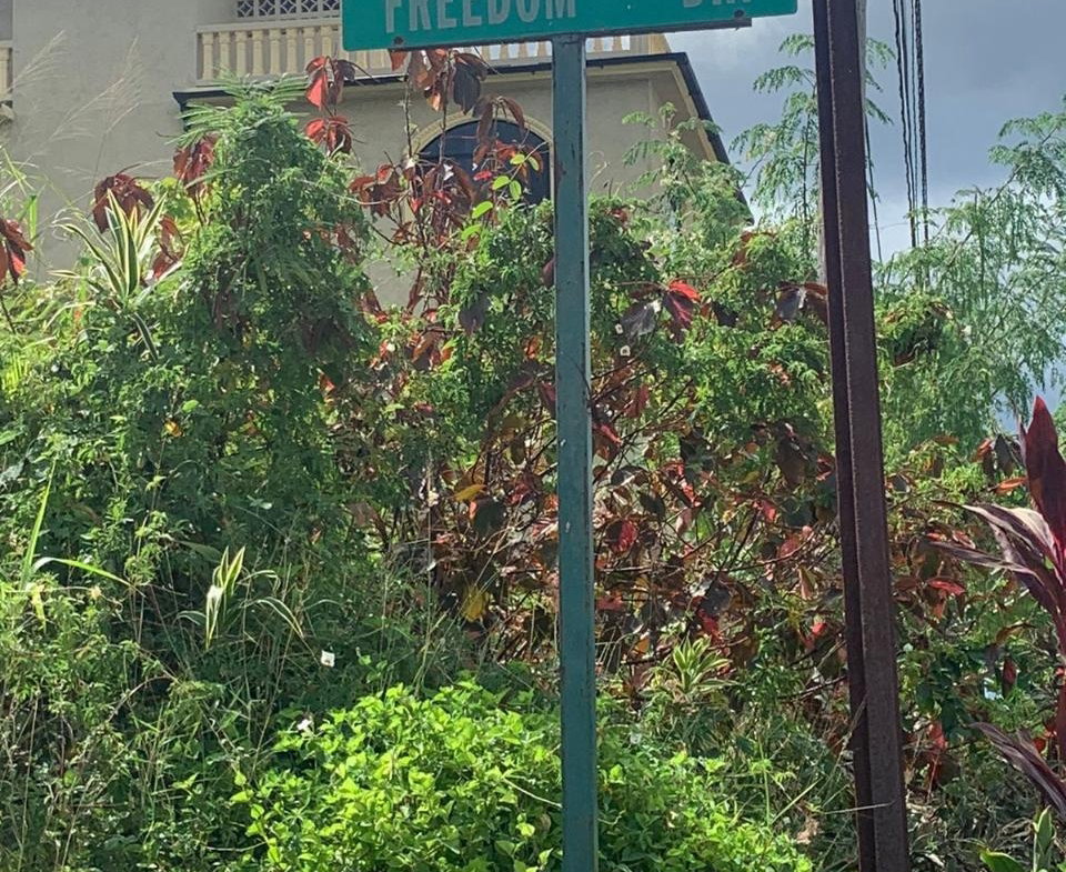 Fourth image of 583 Freedom Drive Duncans Hil in DUNCANS HILL, Trelawny, Jamaica - property is For Sale