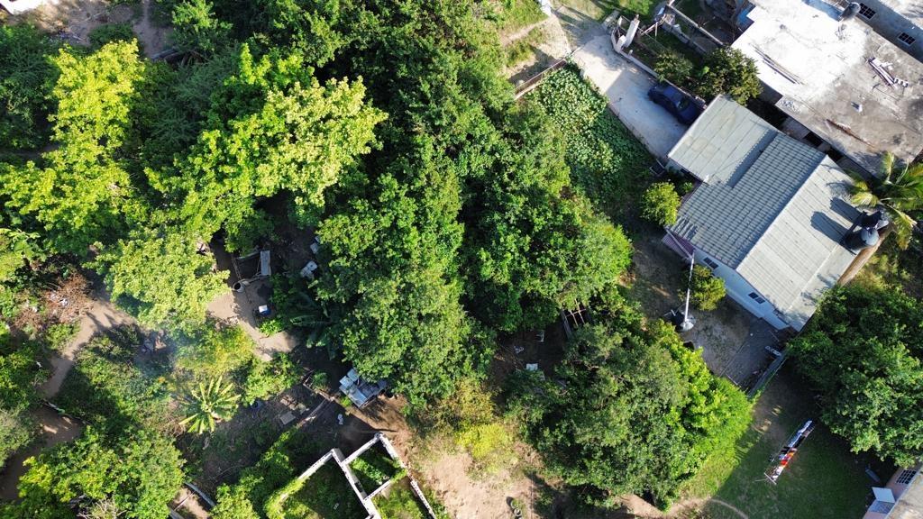 Twenty-First image of 31 Eaton Close in Cedar Grove Estate, St. Catherine, Jamaica - property is For Sale