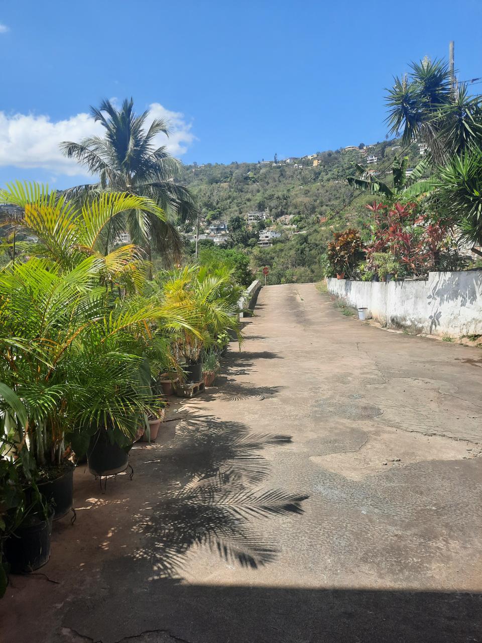 Stunning-Investment-Property-in-Jamaica-3-Level-House-for-Sale Second image of 60 Highland Close in Kingston 19, St. Andrew, Jamaica - property is For Sale
