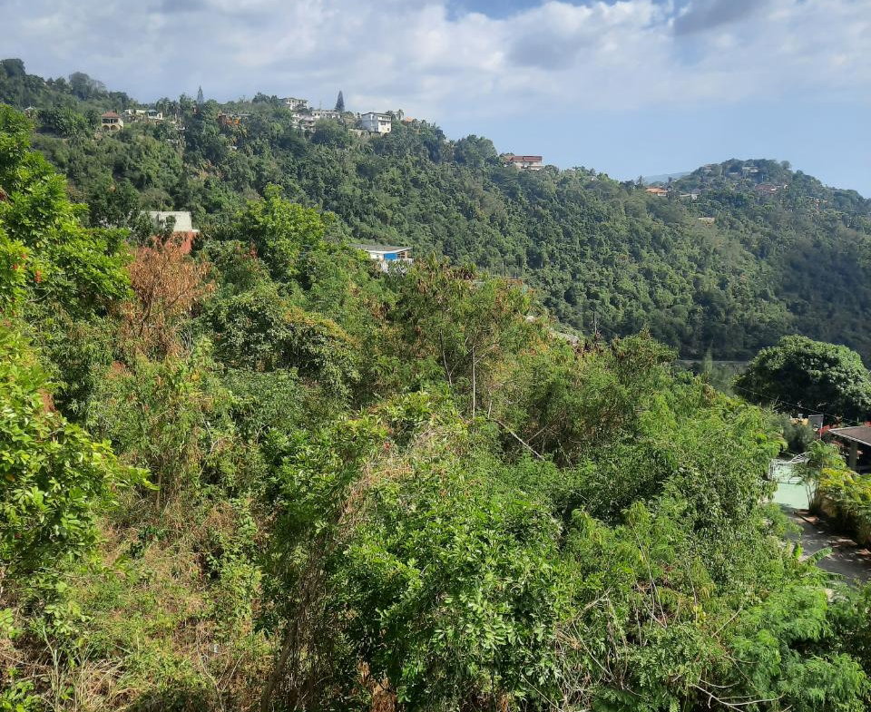 Twenty-Seventh image of 60 Highland Close in Kingston 19, St. Andrew, Jamaica - property is For Sale