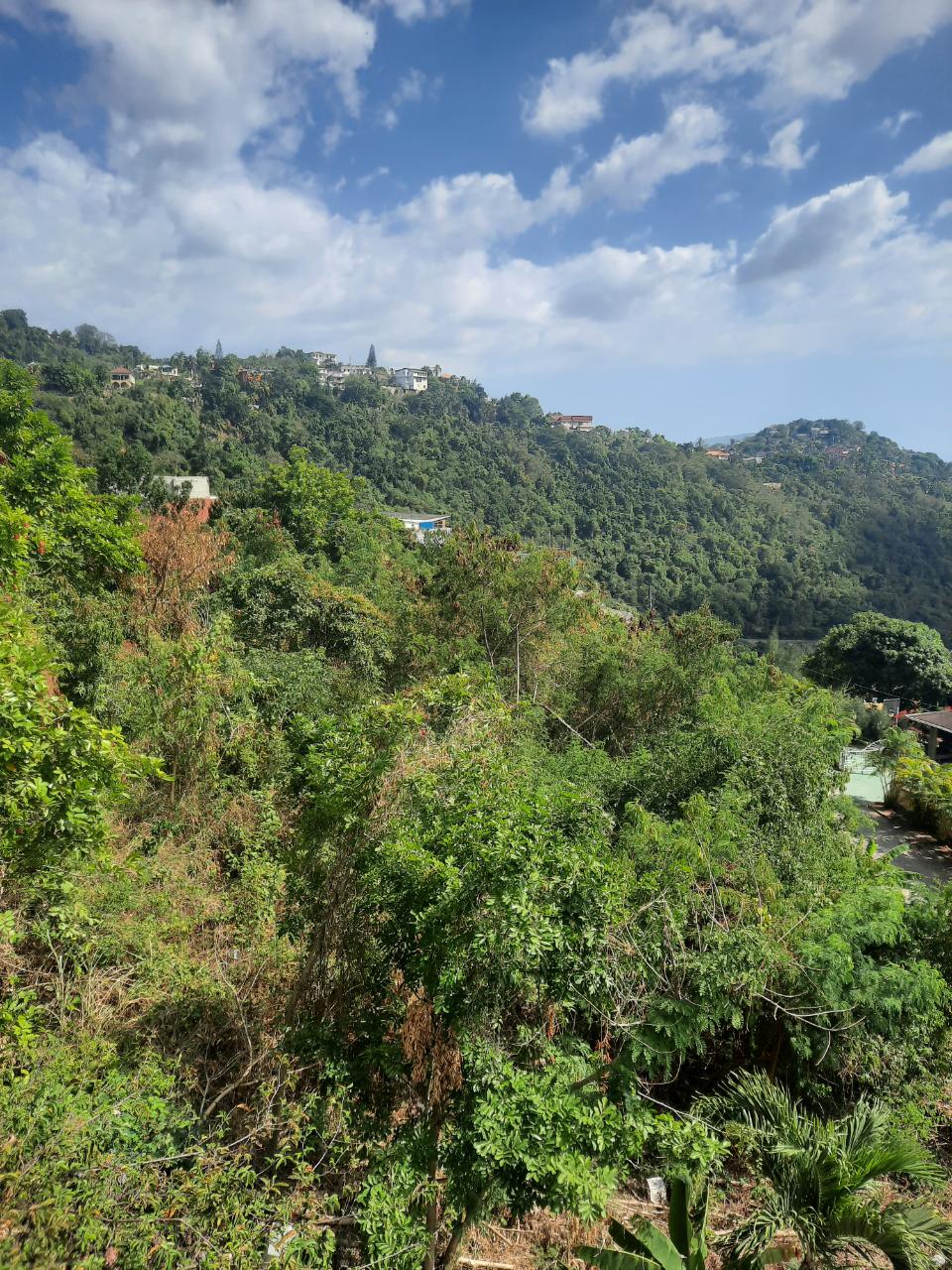 Stunning-Investment-Property-in-Jamaica-3-Level-House-for-Sale Twenty-Seventh image of 60 Highland Close in Kingston 19, St. Andrew, Jamaica - property is For Sale