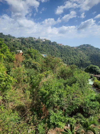 Twenty-Seventh image of 60 Highland Close in Kingston 19, St. Andrew, Jamaica - property is For Sale