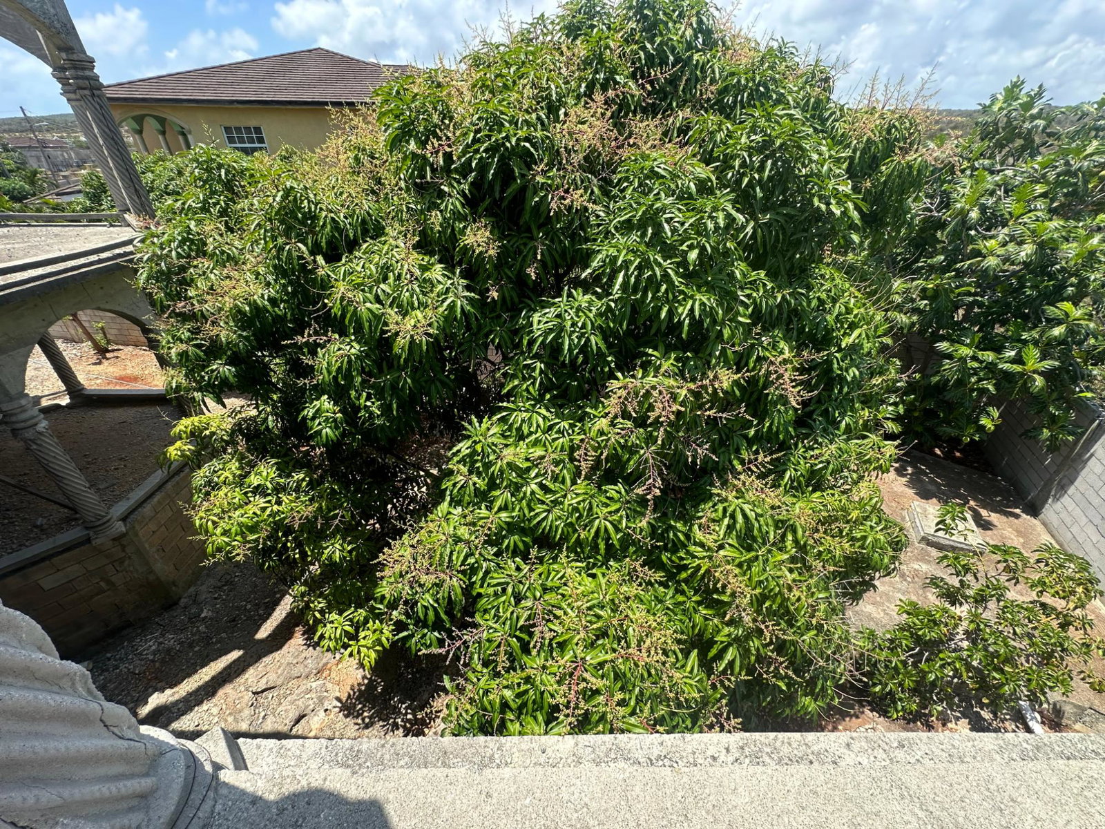 Eleventh image of Lot 350- Sandhill Close in HELLSHIRE HILLS, St. Catherine, Jamaica - property is For Sale