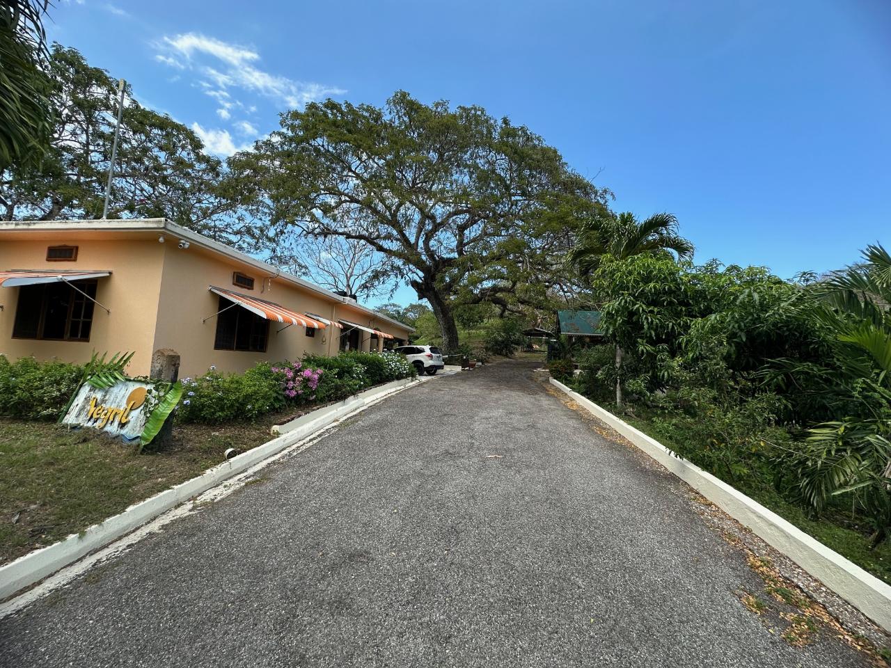 Second image of Lot 47- Rothsey Cove, Green Islan in Green Island, Hanover, Jamaica - property is For Sale