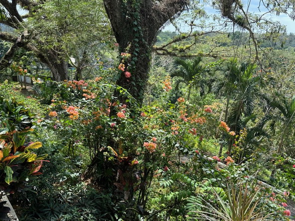 Ninth image of Lot 47- Rothsey Cove, Green Islan in Green Island, Hanover, Jamaica - property is For Sale