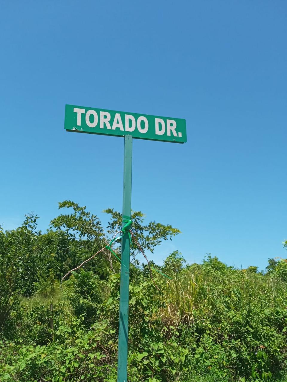 Eleventh image of 207- Torado Drive in Ironshore, St. James, Jamaica - property is For Sale