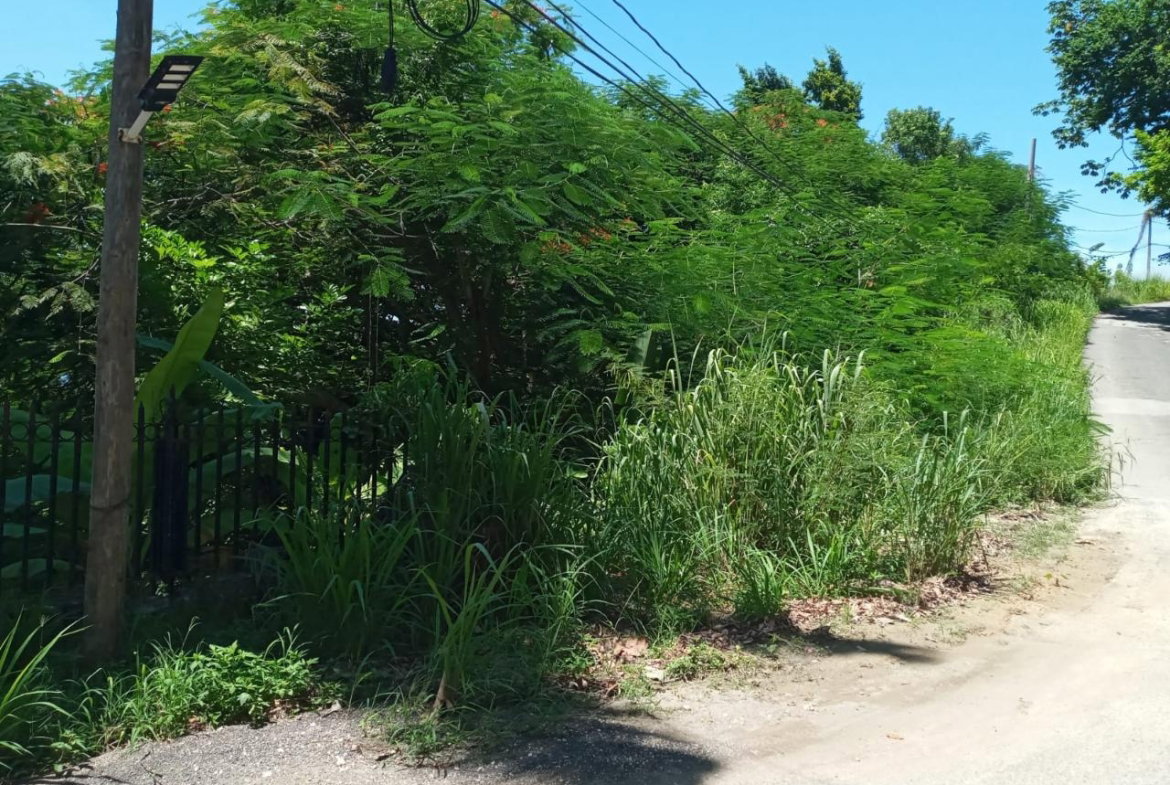 Sixth image of 207- Torado Drive in Ironshore, St. James, Jamaica - property is For Sale