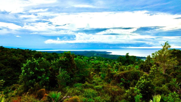 Second image of 187 Culloden in White House WD, Westmoreland, Jamaica - property is For Sale