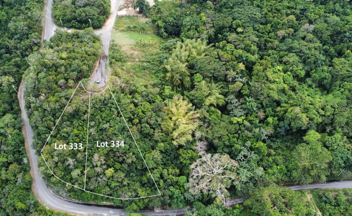 Sixth image of 333 Bergamo Hill, Orchard Gar in Hopewell, Hanover, Jamaica - property is For Sale