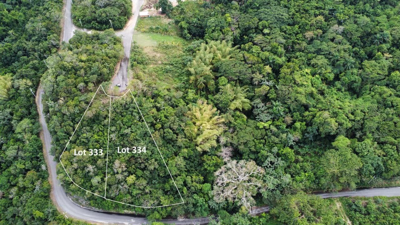 Sixth image of 333 Bergamo Hill, Orchard Gar in Hopewell, Hanover, Jamaica - property is For Sale