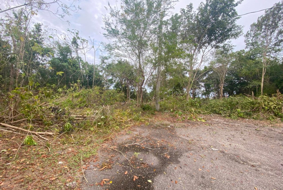 Seventh image of 333 Bergamo Hill, Orchard Gar in Hopewell, Hanover, Jamaica - property is For Sale