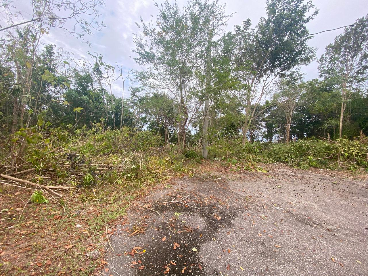 Seventh image of 333 Bergamo Hill, Orchard Gar in Hopewell, Hanover, Jamaica - property is For Sale