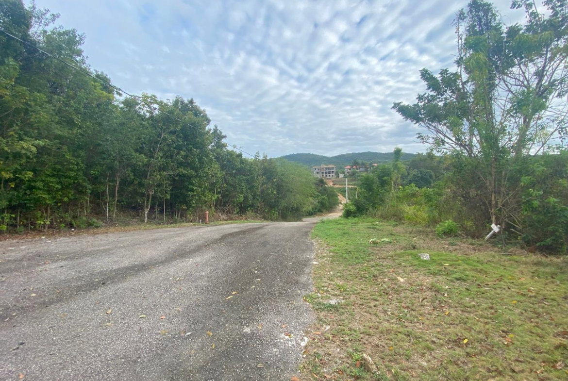 Eighth image of 333 Bergamo Hill, Orchard Gar in Hopewell, Hanover, Jamaica - property is For Sale