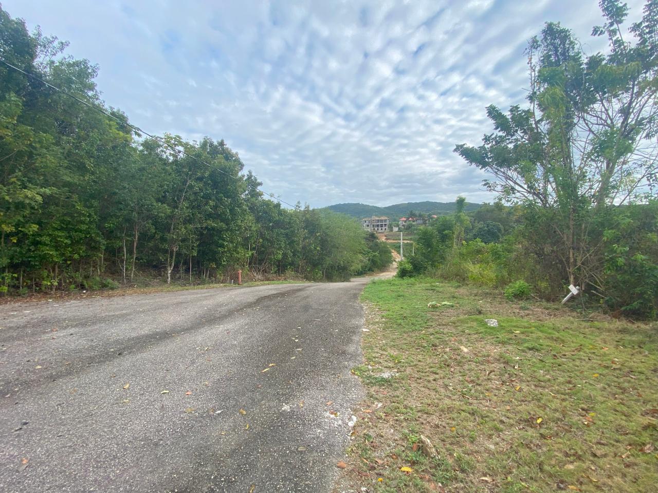 Eighth image of 333 Bergamo Hill, Orchard Gar in Hopewell, Hanover, Jamaica - property is For Sale