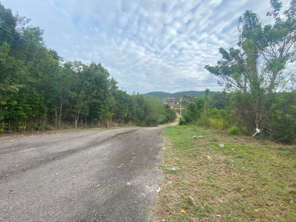 Eighth image of 333 Bergamo Hill, Orchard Gar in Hopewell, Hanover, Jamaica - property is For Sale