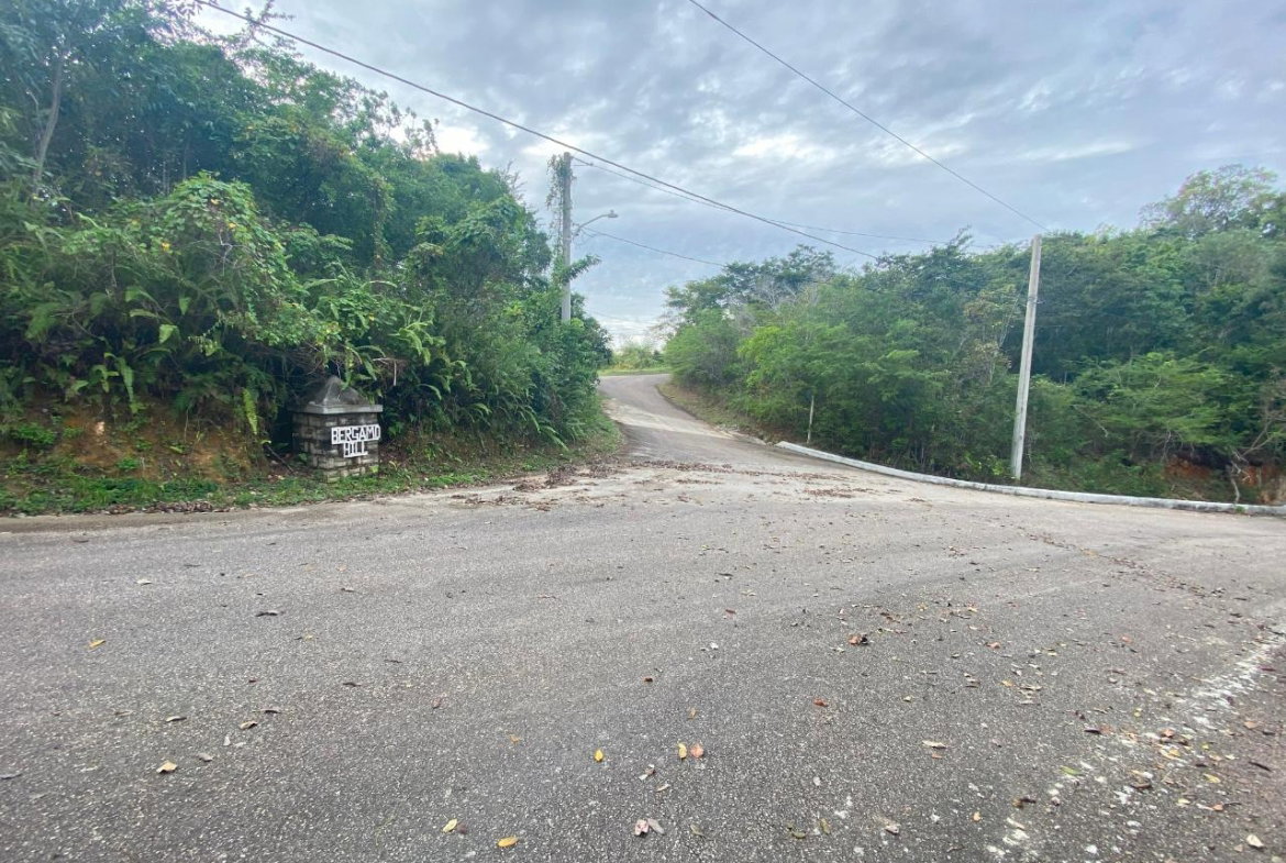 Ninth image of 333 Bergamo Hill, Orchard Gar in Hopewell, Hanover, Jamaica - property is For Sale