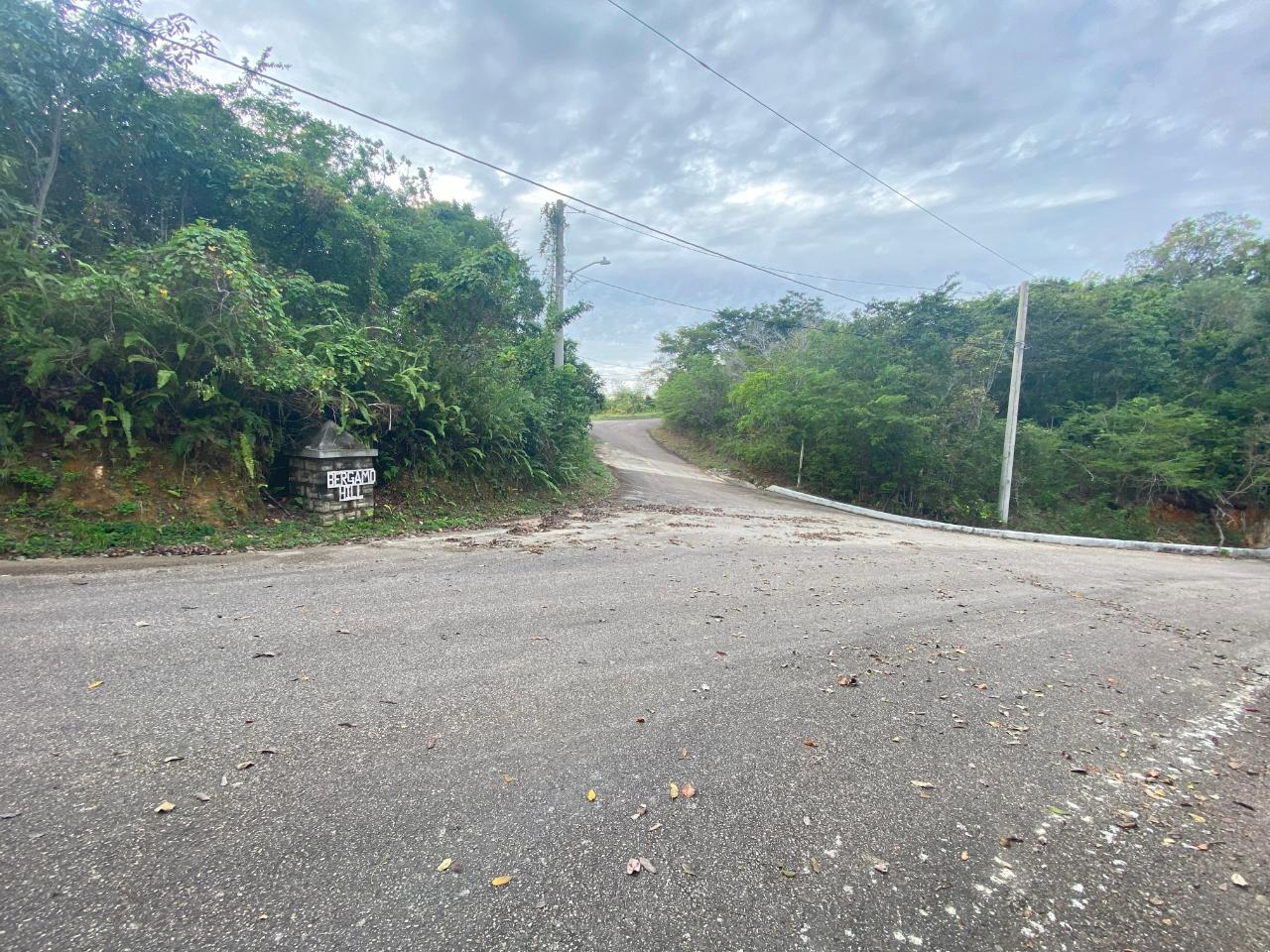 Ninth image of 333 Bergamo Hill, Orchard Gar in Hopewell, Hanover, Jamaica - property is For Sale