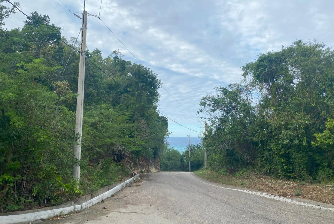 Tenth image of 333 Bergamo Hill, Orchard Gar in Hopewell, Hanover, Jamaica - property is For Sale