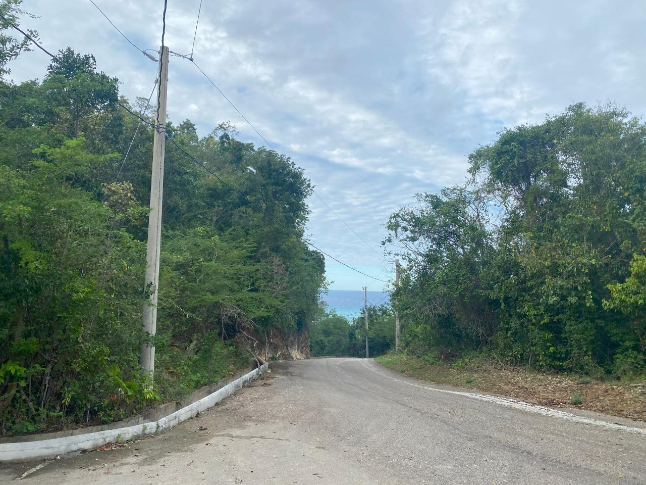 Tenth image of 333 Bergamo Hill, Orchard Gar in Hopewell, Hanover, Jamaica - property is For Sale