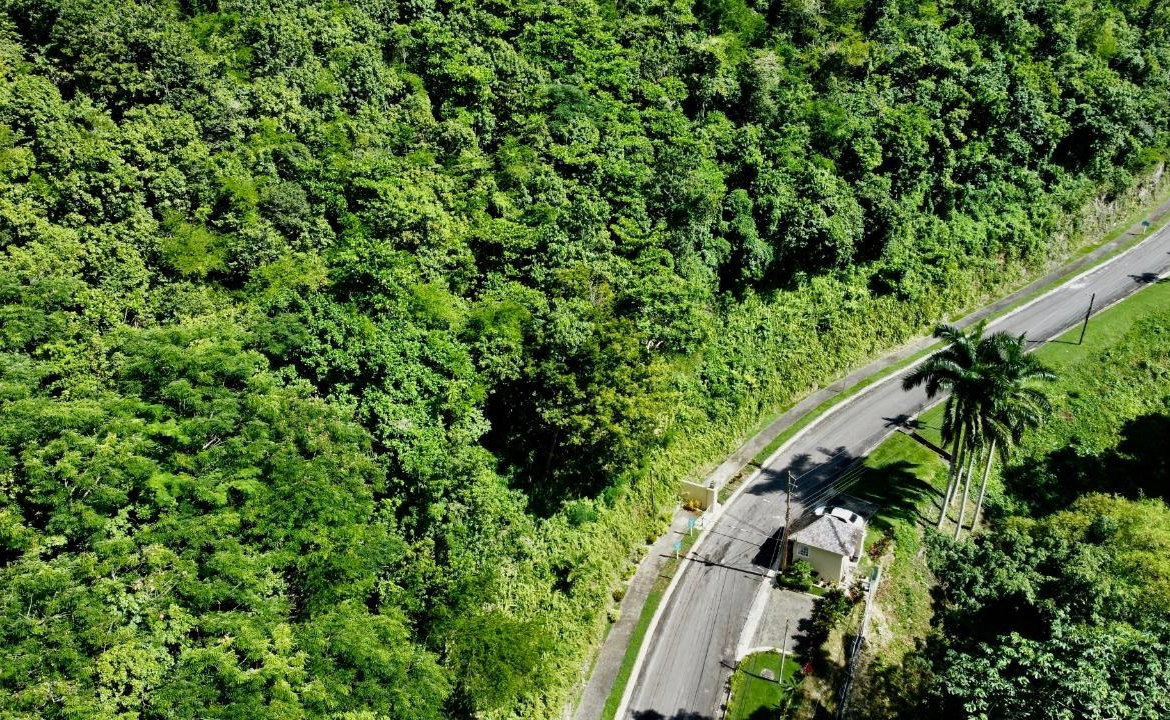 Eighth image of 26 Bayview Terrace in Montego Bay, St. James, Jamaica - property is For Sale