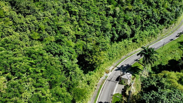 Eighth image of 26 Bayview Terrace in Montego Bay, St. James, Jamaica - property is For Sale