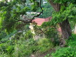 First image of Lot 9 Highland Close in Kingston 19, St. Andrew, Jamaica - property is For Sale