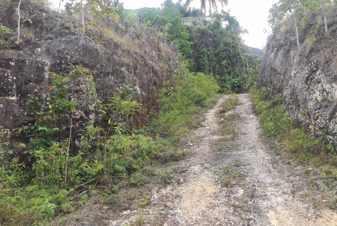 Third image of 179 Spring Garden in Reading, St. James, Jamaica - property is For Sale