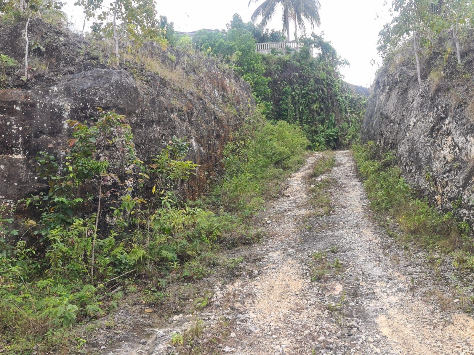 Third image of 179 Spring Garden in Reading, St. James, Jamaica - property is For Sale