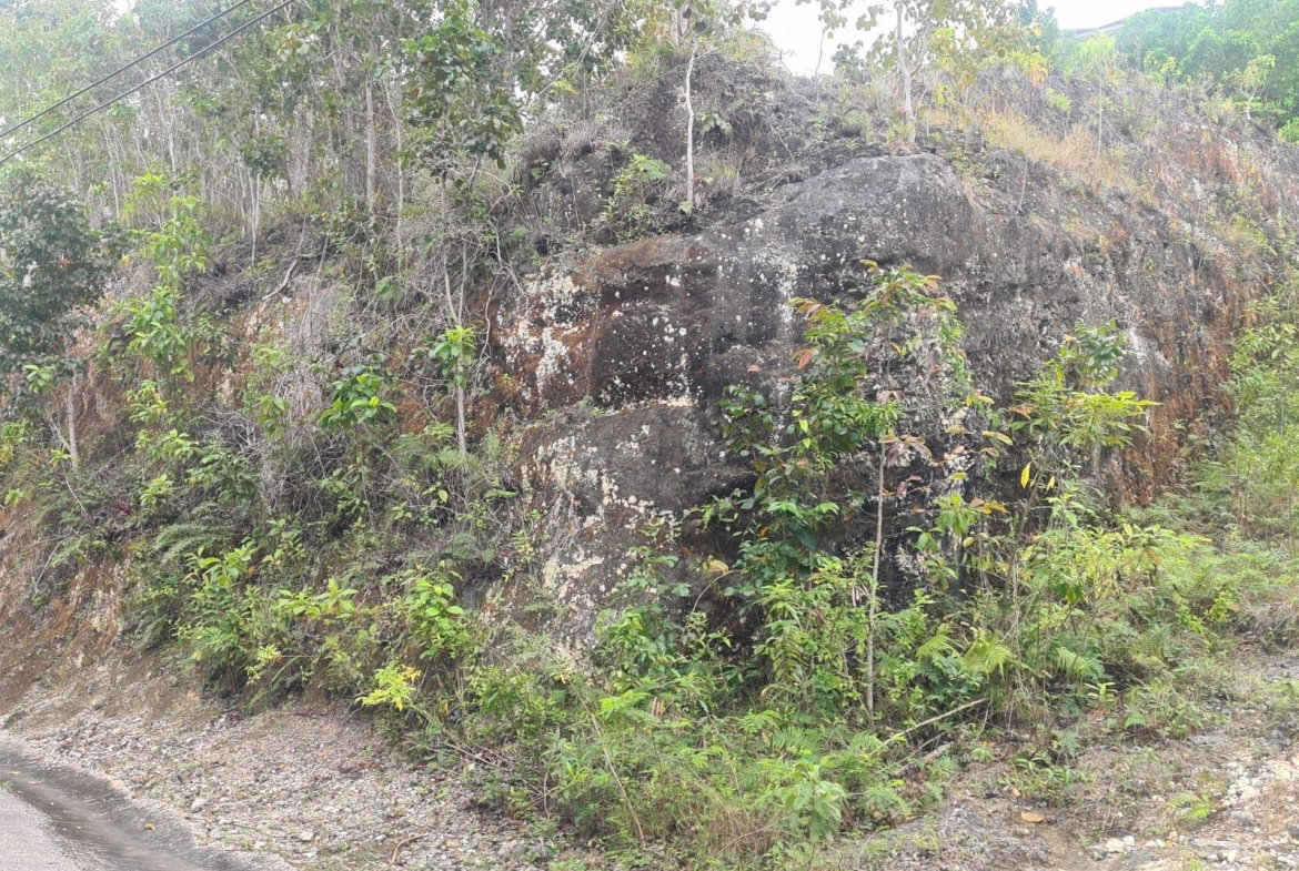 Fourth image of 179 Spring Garden in Reading, St. James, Jamaica - property is For Sale