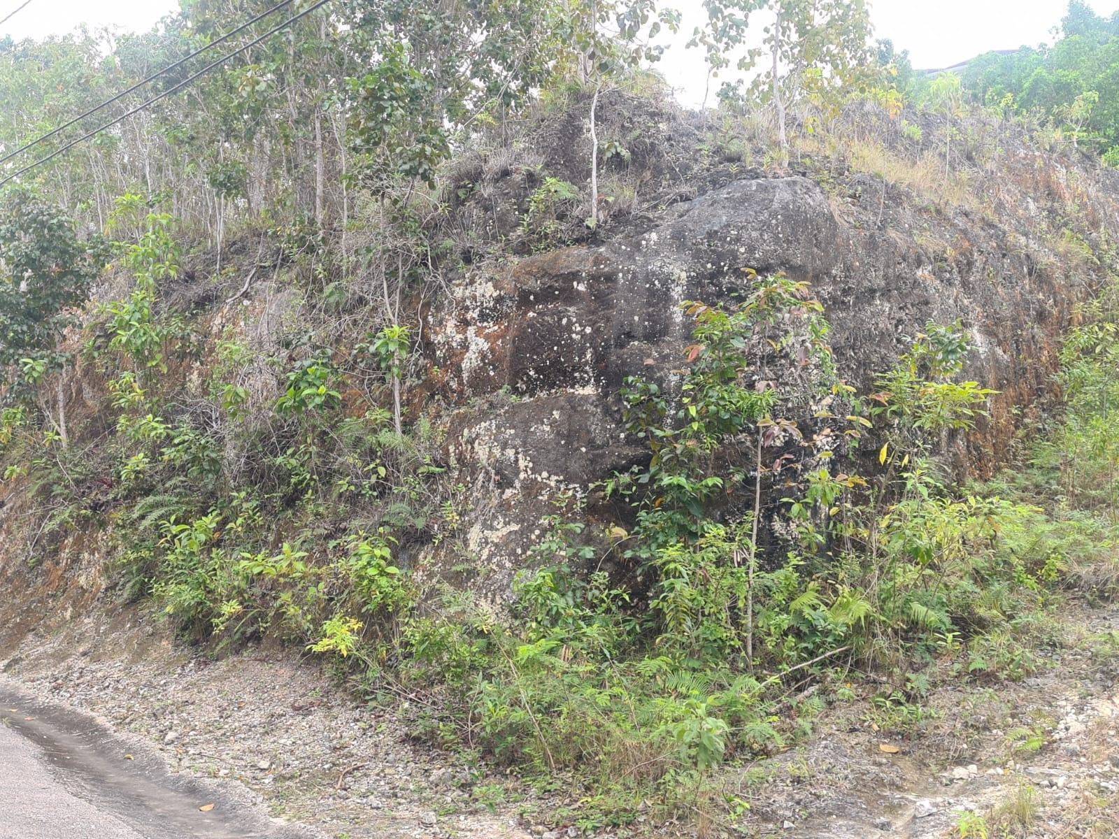 Fourth image of 179 Spring Garden in Reading, St. James, Jamaica - property is For Sale